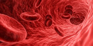 hemoglobin levels in runners