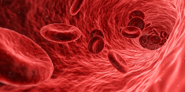 levels for runners - Athlete Blood Test