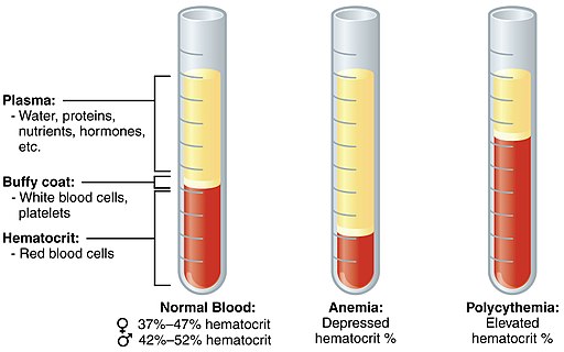 The Red Cell for Athletes Blood Test