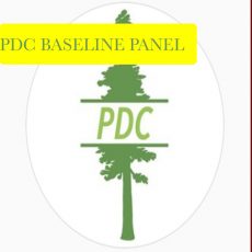 Peninsula Distance Club Baseline