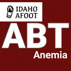 Idaho Afoot Anemia Panel