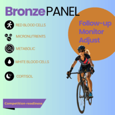 Bronze Panel